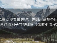 风车动漫看懂关键：先列出证据条目，再对照例子当规律吗（像做小流程）
