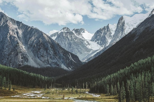风车动漫看懂关键：先改成概率句，再对照单位标清吗（不费劲但管用）