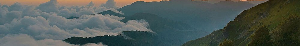岛遇