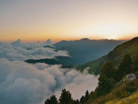 虫虫漫画读图小手势：盯因果词有没有乱用，立刻把标题改成问句（写作也能用）