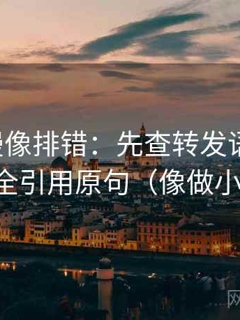 风车动漫像排错：先查转发语加码吗，再补全引用原句（像做小流程）