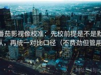 番茄影视像校准：先校前提是不是默认，再统一对比口径（不费劲但管用）